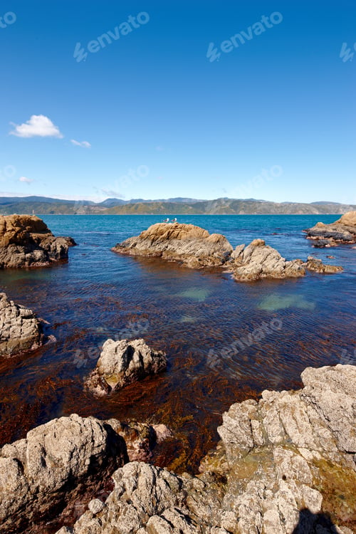 Preview: Coast - Wellington, New Zealand