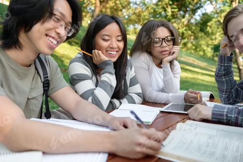 Preview: Students sitting and studying outdoors while talking