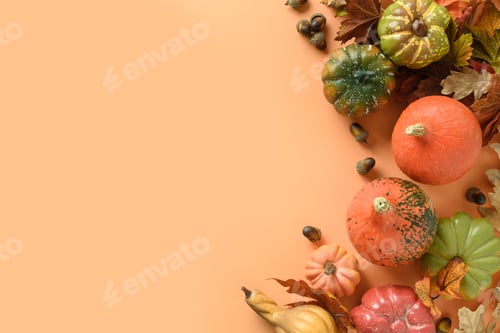Preview: Fall harvest, pumpkins, corncob, colorful leaves. Autumn, Thanksgiving Day.