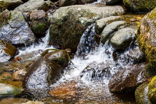Preview: rifts in mountain creek in Adjara on autumn day