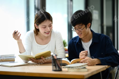 Preview: Two university students sharing ideas while studying together in a library. Education concept