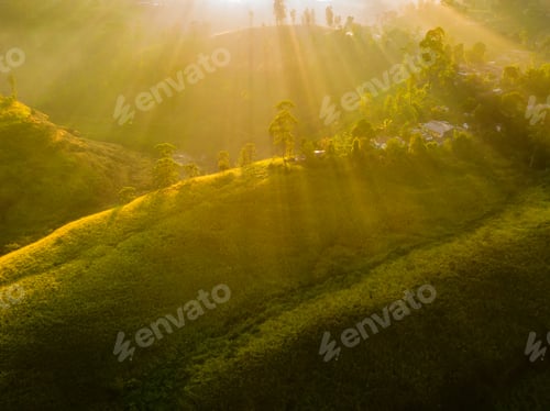 Preview: Tea plantations in Munnar, Kerala, India. Aerial view, Drone photo