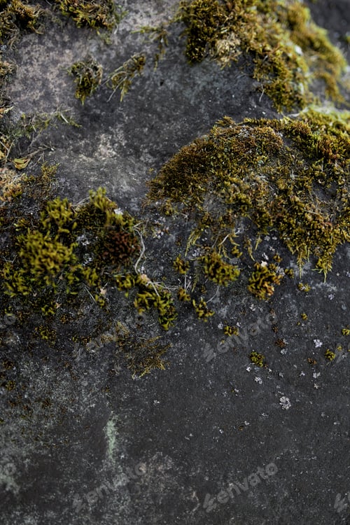 Preview: Black stone in retro style.