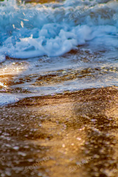 Preview: Beach closeup