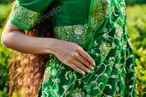 Preview: cropped view of long haired woman in stylish sari with pattern standing in park outdoors