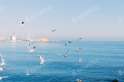 Preview: BARCELONA, SPAIN - DECEMBER 28, 2018: scenic view of tranquil blue sea with flying seagulls