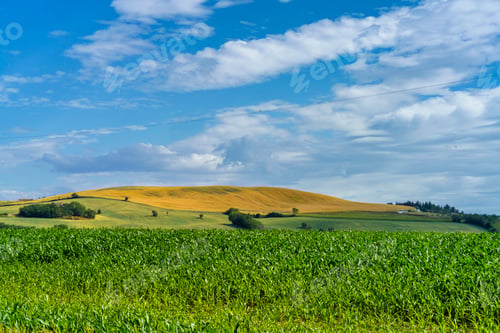 Preview: Rural landscape near Ostra Vetere and Cingoli, Marche, Italy