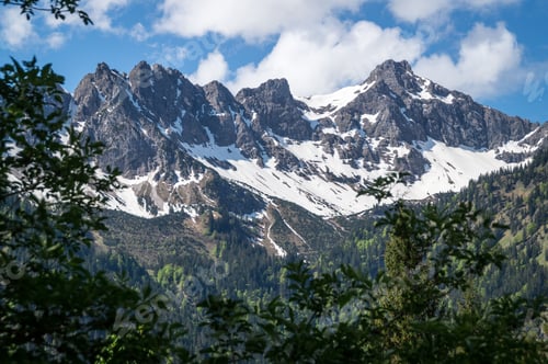 Preview: Scenic view of the snow-capped Hochkarspitze mountain with trees in the foreground
