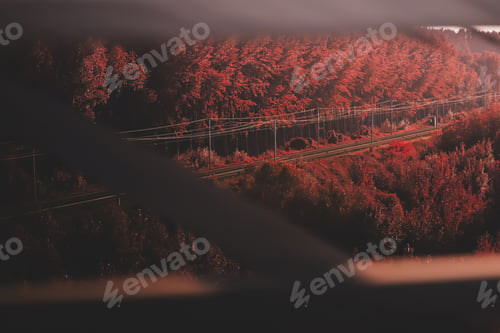 Preview: Autumn trees