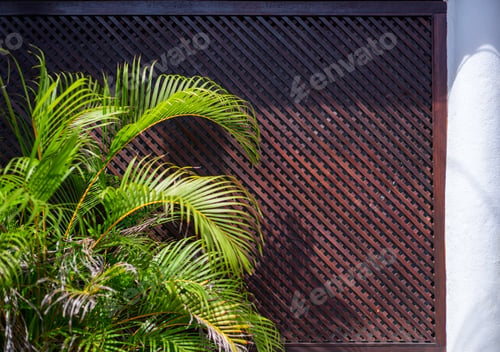 Preview: Latticed wall and tree close-up shot, diagonal lines add new style to the home exterior.