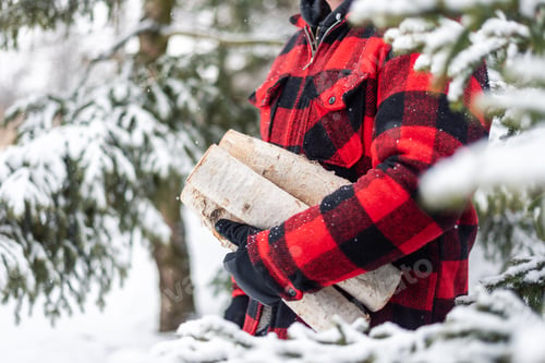 Preview: Man in red plaid jacket carrying firewood in snowy woods