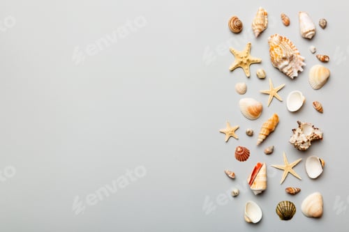 Preview: Summer time concept Flat lay composition with beautiful starfish