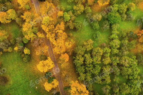 Preview: View from the height of autumn on loshitsky Park in Minsk. of the road in the Loshitsa Park.Belarus
