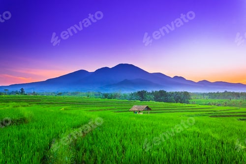 Preview: beautiful morning view from Indonesia of mountains and tropical forest