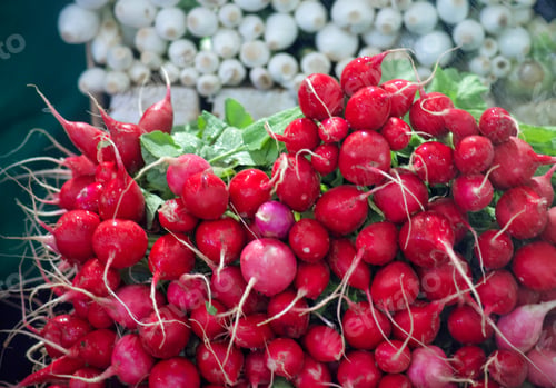 Preview: Fresh red ripe and spicy organic radishes creatively stacked at a local farmers market