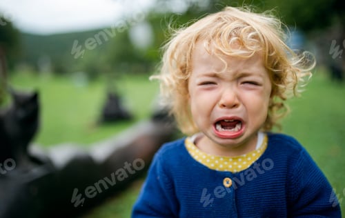 Preview: Portrait of small girl outdoors in garden, crying