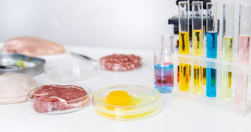 Preview: Examine meat in the laboratory. Selective focus.