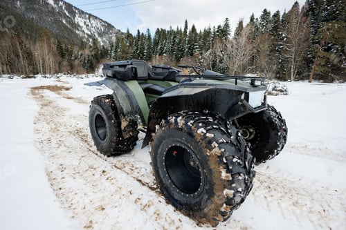 Preview: A huge green all-terrain vehicle, a swamp rover stands in a snow-covered forest.
