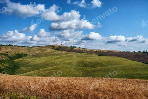 Preview: Rural landscape in Val d Orcia, Tuscany, at summer