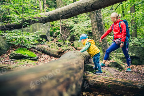 Preview: Young boy hiking with mother