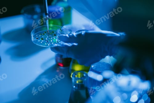 Preview: scientist researcher conducting an experiment working in the chemical laboratory.