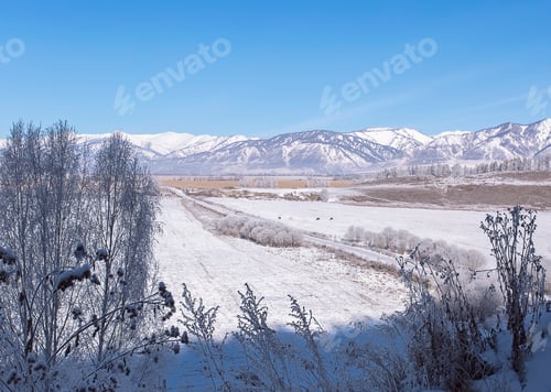 Preview: Snowy valley on Altai mountains