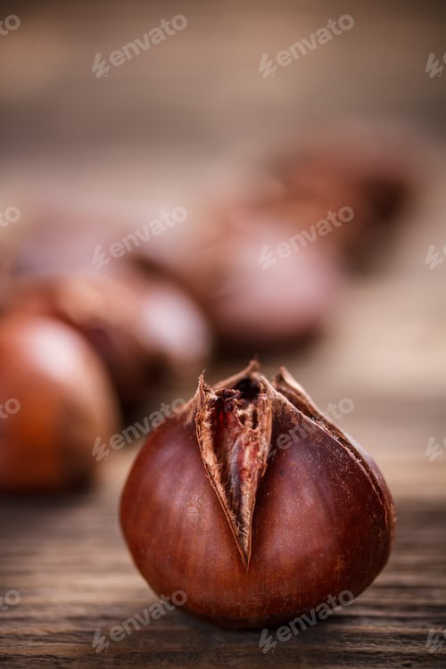 Preview: Edible chestnuts