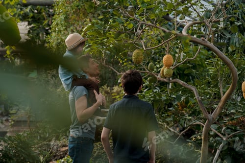 Preview: Adventurous family inspecting tropical gallery in Botanical garden. Local travel