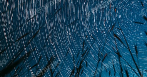 Preview: Rotate Background. Bottom View From Barley Field. Ni