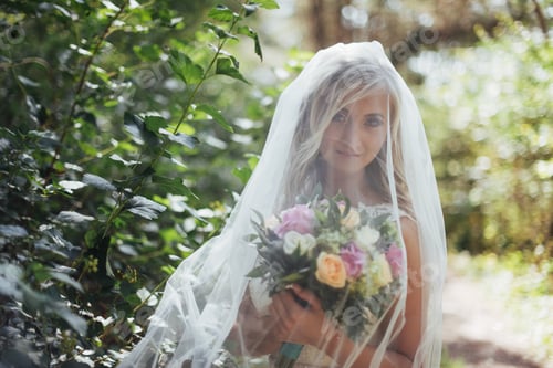 Preview: Portrait of a happy bride posing with veil