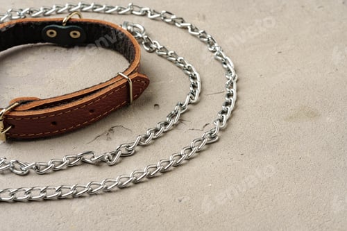 Preview: Pet collar and leash on gray background