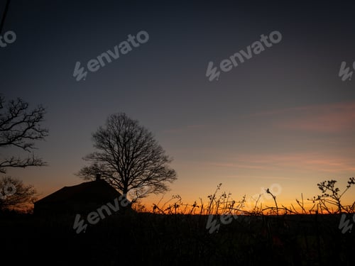 Preview: Silhouette of a house near leafless trees with a beautiful sky in the background at sunset