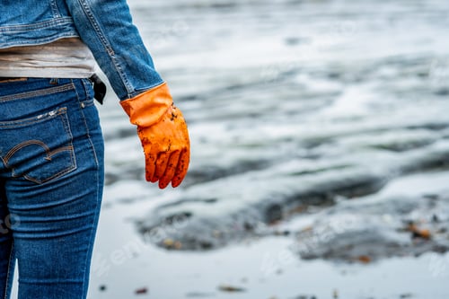 Preview: Volunteers wear jeans and long sleeved shirts and wear orange rubber gloves to collect garbage