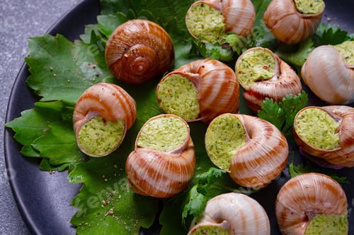 Preview: grape snails , stuffed in burgundy, french cuisine,
