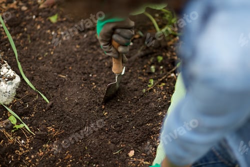 Preview: hand with garden trowel digging in soil