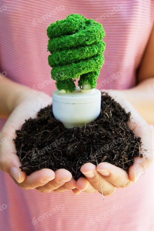 Preview: Eco light bulb energy concept