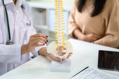 Preview: Doctor using a spine model to explain lower back issues to patient during medical consultation