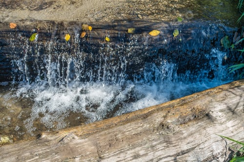 Preview: A View Of A Creek Flowing Over Logs In Burien, Washington.