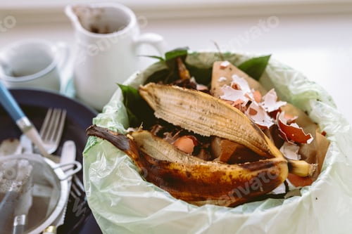 Preview: Leftover food in trash can in kitchen
