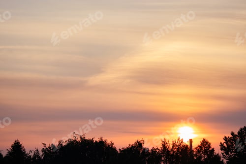Preview: Sunset over forest. Orange and pink clouds in sky. Tree silhouettes.