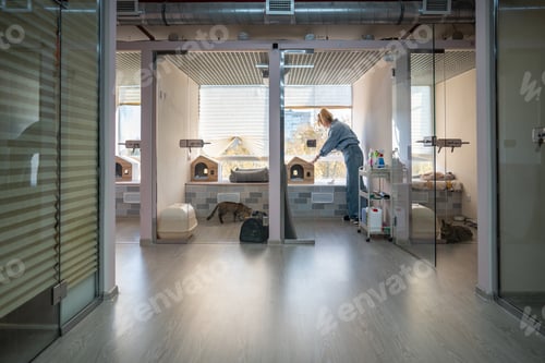 Preview: Woman Works in Modern Cat Shelter with Cages