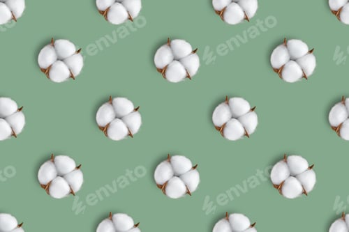 Preview: Cotton Flower Pattern On Green Background. Top View, Flat Lay