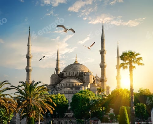 Preview: Blue Mosque at summer evening