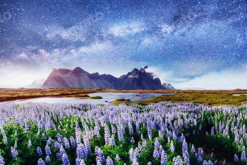 Preview: The picturesque landscapes of forests and mountains Iceland.