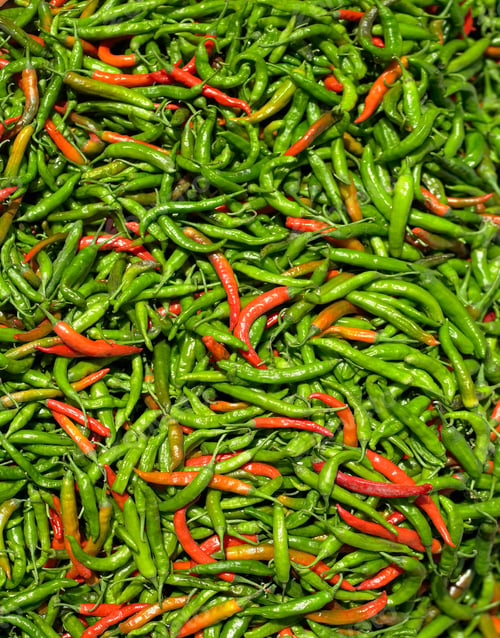 Preview: A large number of hot Chili Peppers