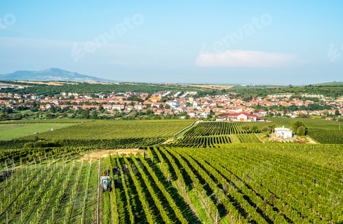 Preview: Farmers working on field, Moravia