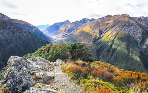 Preview: Mountain Scenery in Arthur's Pass National Park, New Zealand