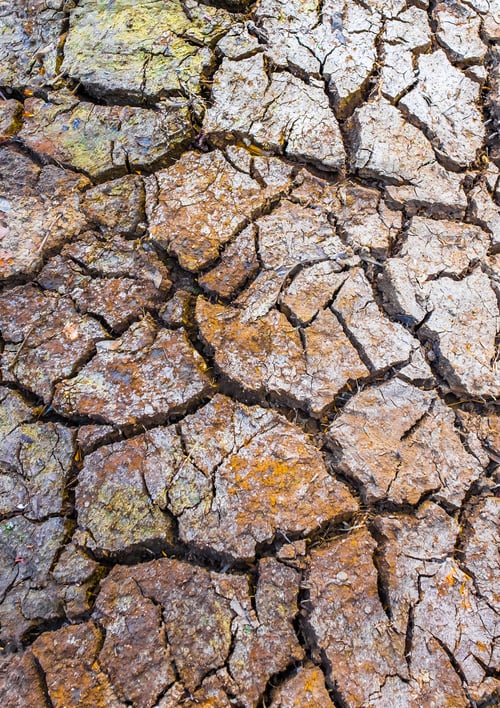 Preview: Dry Cracked Earth Close-up during Drought Conditions