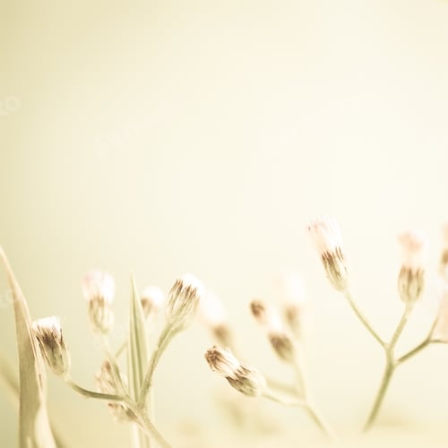 Preview: Weed Flowers In Vintage Color Style