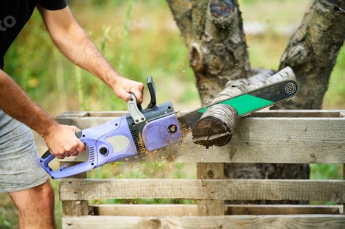 Preview: Close-up of man cutting trees using electrical chainsaw in motion
